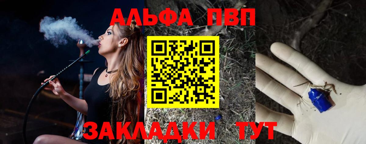 A PVP СК Вышний Волочёк