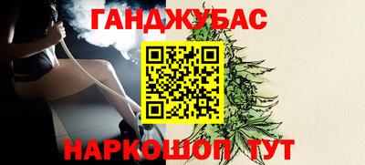 дмт Аргун