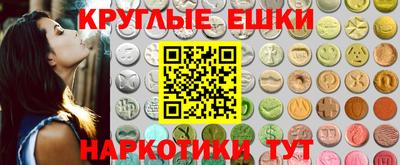 дмт Аргун